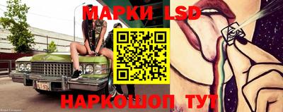 гидропоника Можайск