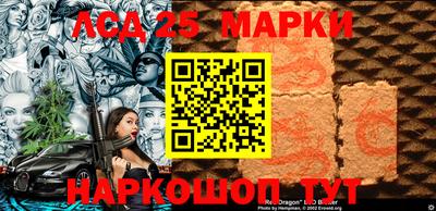 шишки Можга