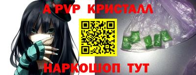 шишки Можга