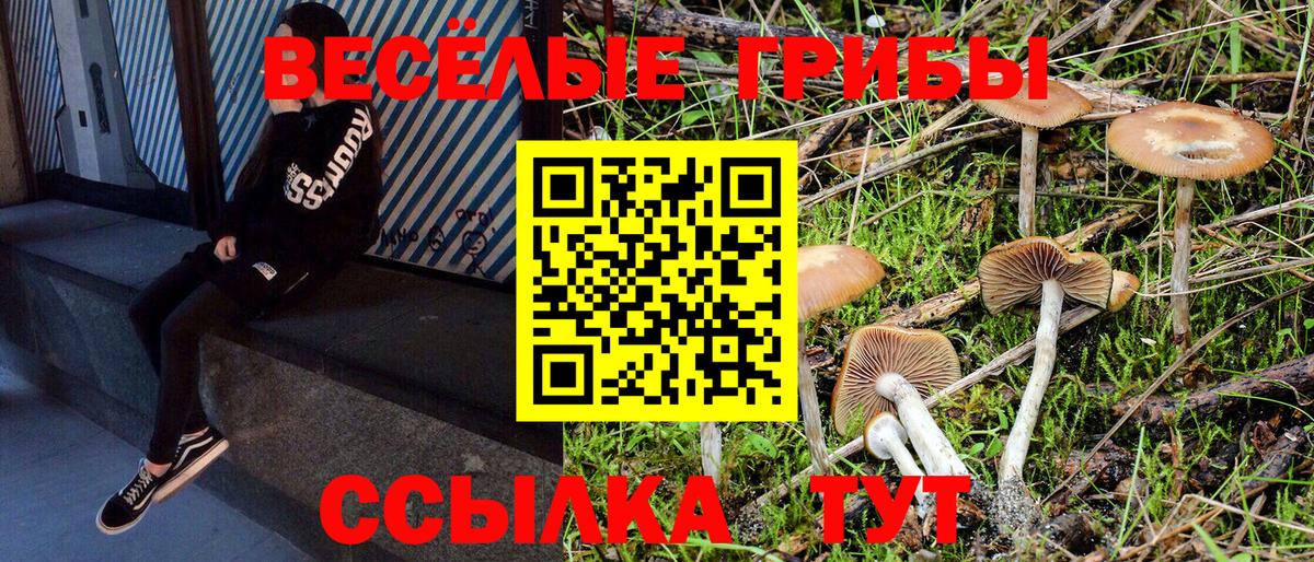 Верхний Уфалей  Галлюциногенные грибы прущие грибы  где купить наркотик  Вход с VPN 